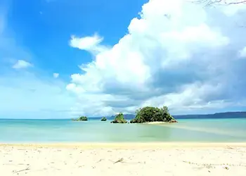 Cheap Flights | Singapore Direct and Return Air Ticket Deals - Save 40%! Okinawa Japan
