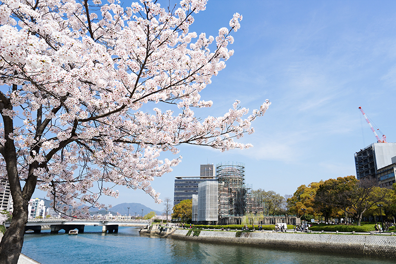 Hiroshima - Japan's best cherry blossom viewing View of sakura from Hiroshima Peace Memorial Park