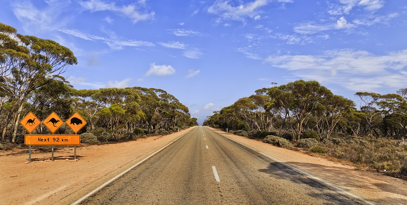 Eyre Highway, South Australia - Outback Road Trip