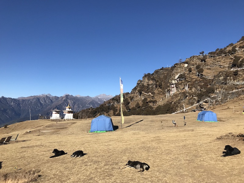 Bumdra Trek campsite, Bhutan