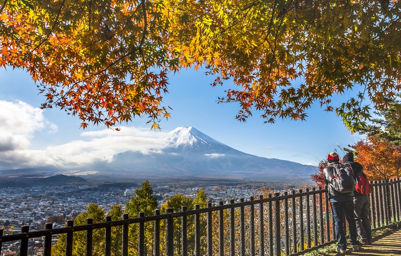 Autumn leaves with Mount Fuji in background