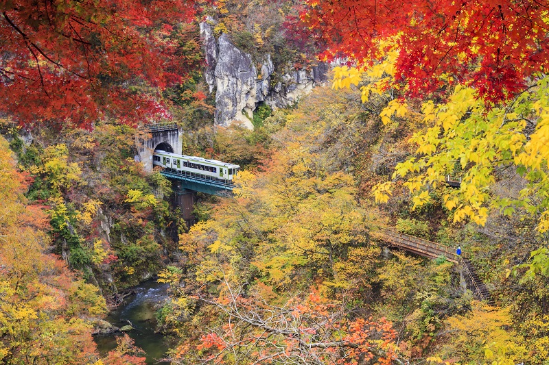 Foliage in Towada, Oirase gorge, Aomori, Japan