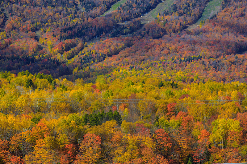 Fall foliage - Autumn leaves in Ste. Anne's Canyon, Quebec, Canada