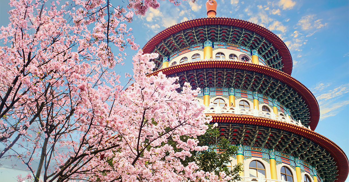 Best Sakura Spots Taiwan