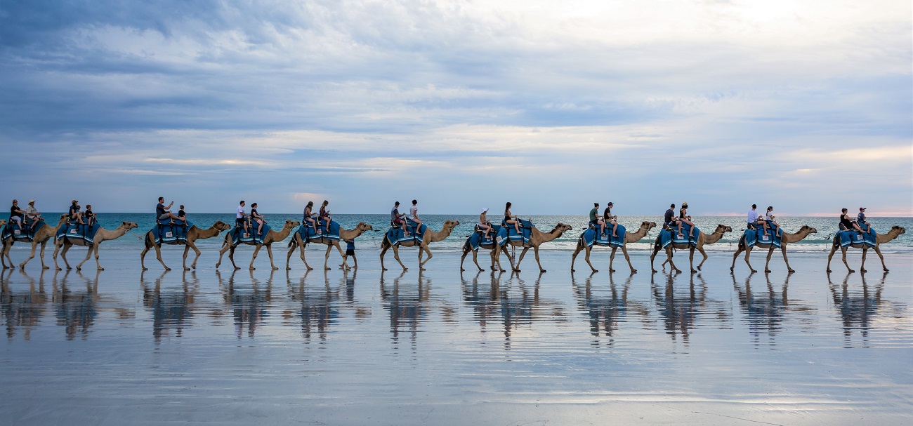 Broome camel tour