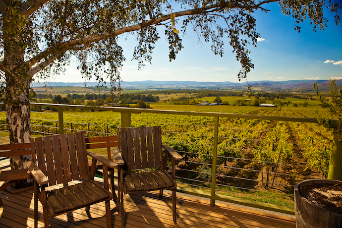 Yarra Valley Vineyards- Melbourne Car Rental