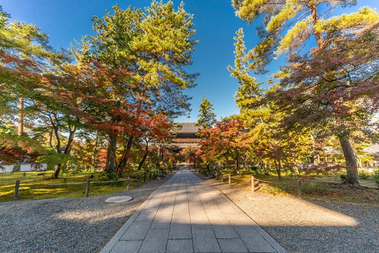 Foliage, Eikan-dō Zenrin-ji, Kyoto, Japan