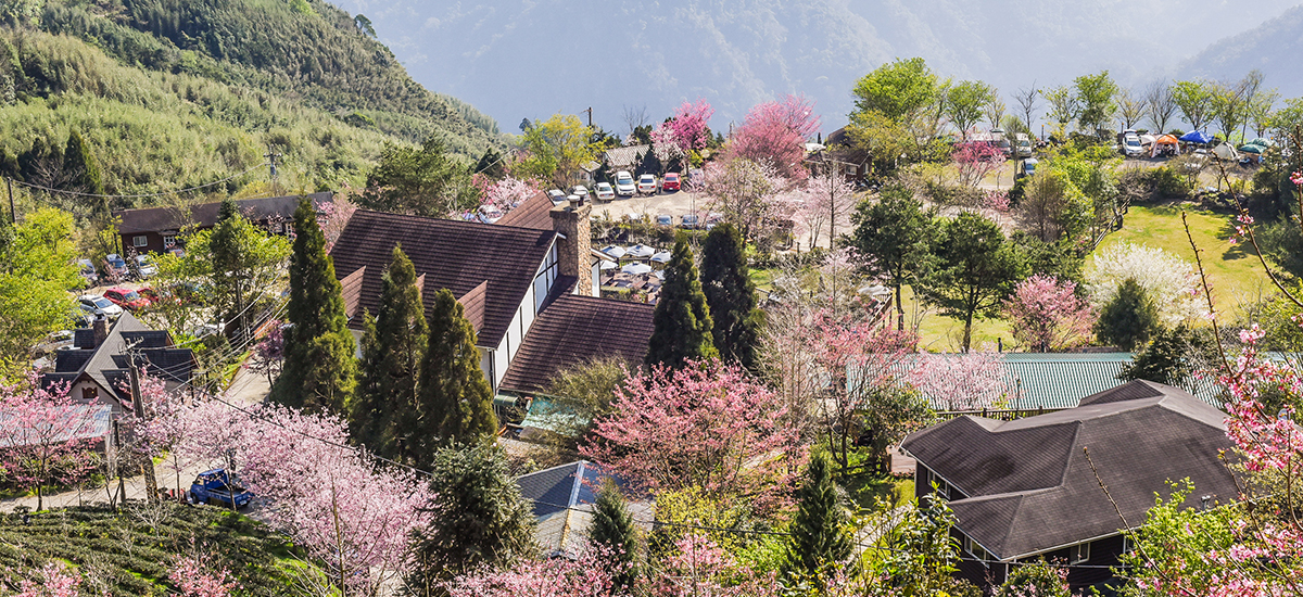 Handpicked by our editors, the best Cherry Blossom Locations in Japan, South Korea, and Taiwan