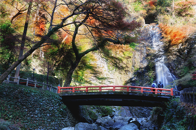 Autumn leaves at Minoh waterfall, Osaka, Japan