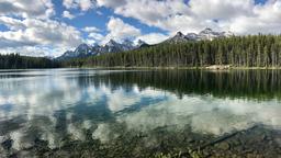 Find cheap flights to Alberta