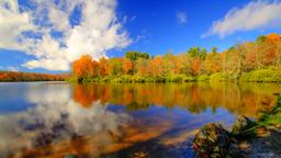 Blowing Rock Hotels