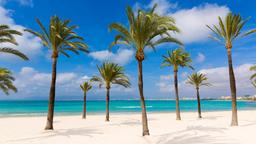 El Arenal Hotels