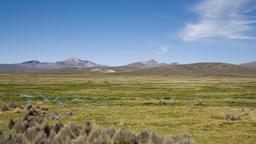 Tacna Hotels