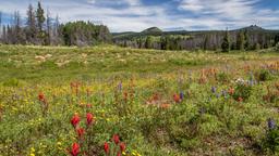 Steamboat Springs Hotels