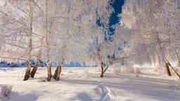 Find cheap flights to Finland