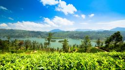 Nuwara Eliya Hotels