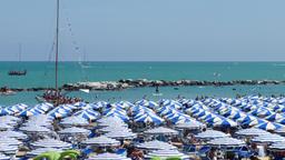 Cattolica Hotels