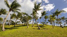 Find cheap flights to The Bahamas