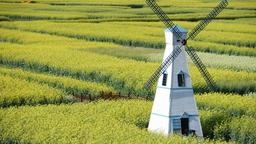 China hotels