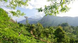 Find cheap flights from Singapore to Sri Lanka