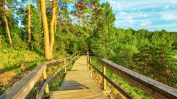 搜索飞往拉脱维亚的特价机票