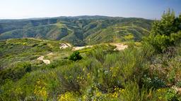 Find cheap flights to Orange County
