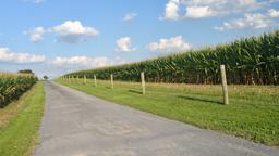 Find cheap flights to Pennsylvania