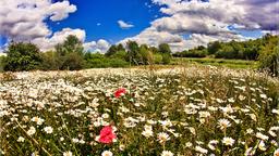Solihull Hotels