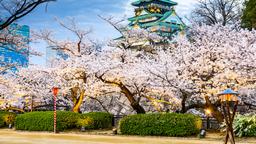 Osaka car rentals