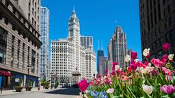 Find cheap flights to United States