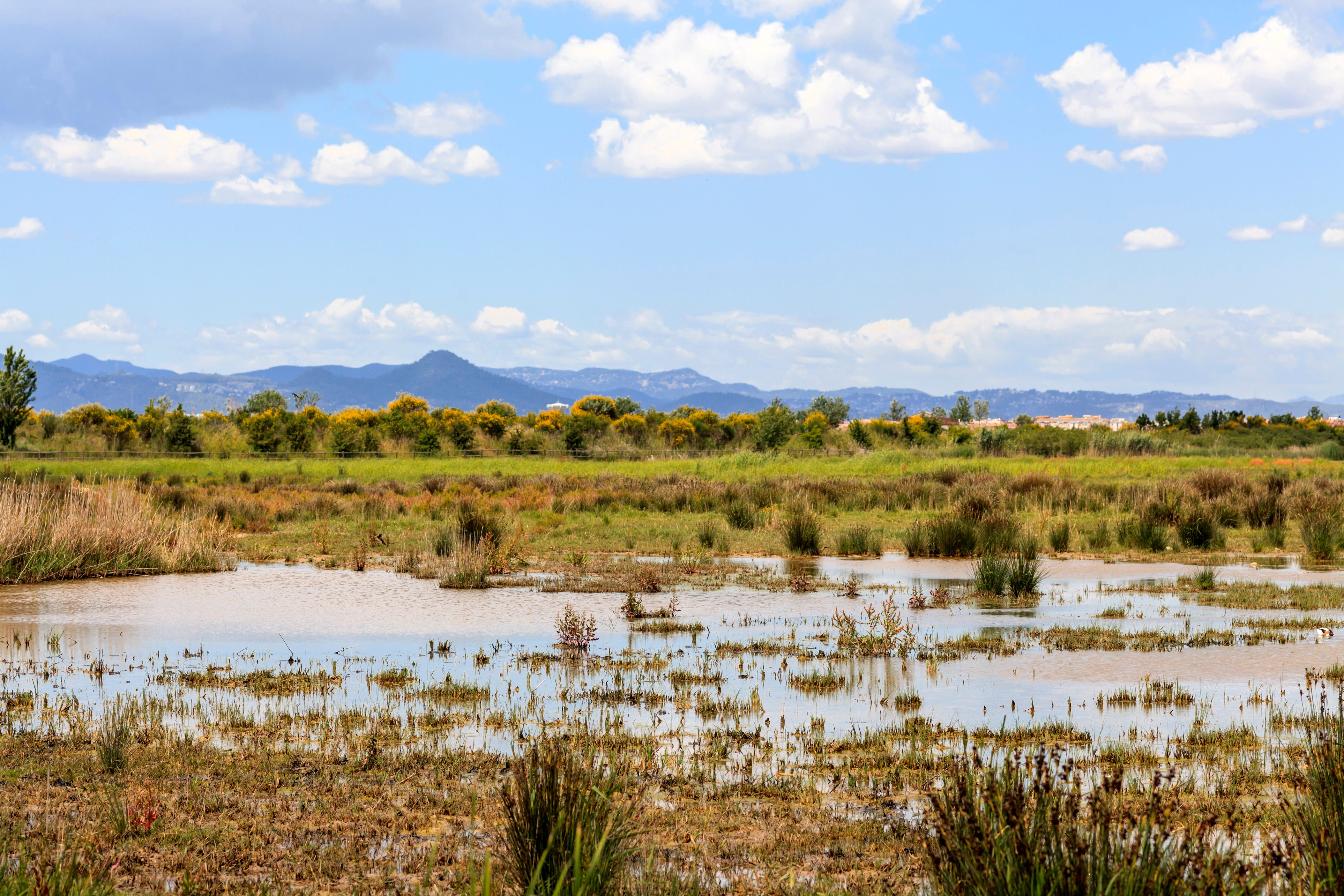 El Prat de Llobregat car rentals