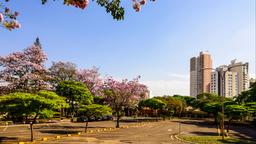 Londrina hotels
