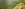 preload