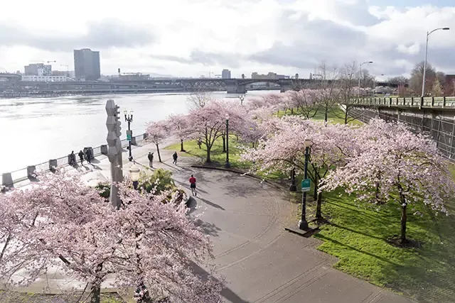 portland, oregon, vegan city