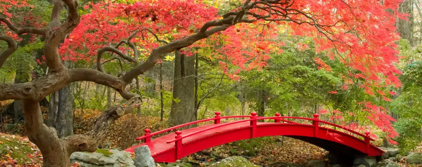 Find cheap flights to Hokkaido, Japan