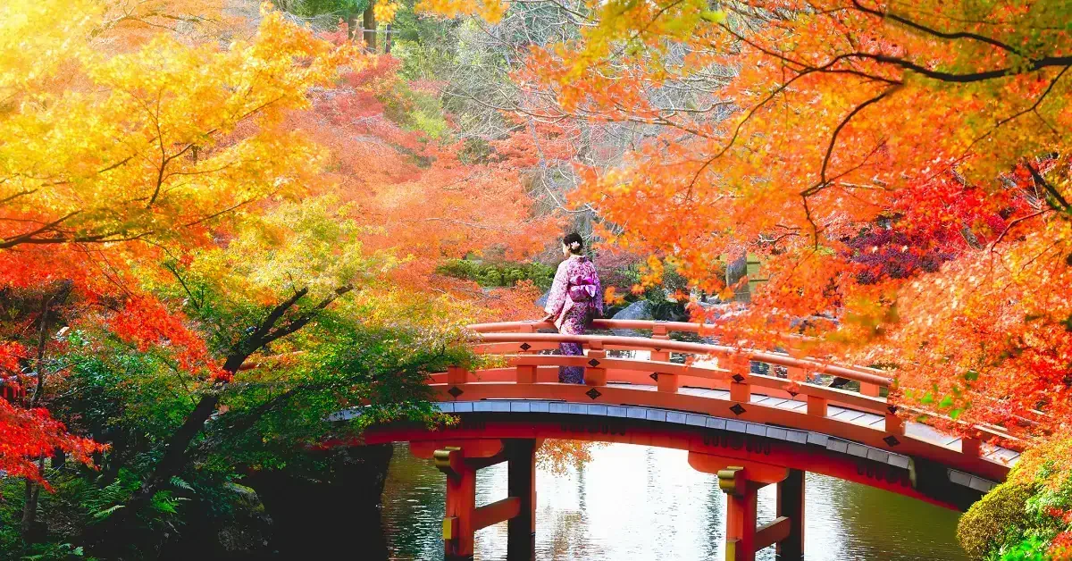 Autumn leaves Japan