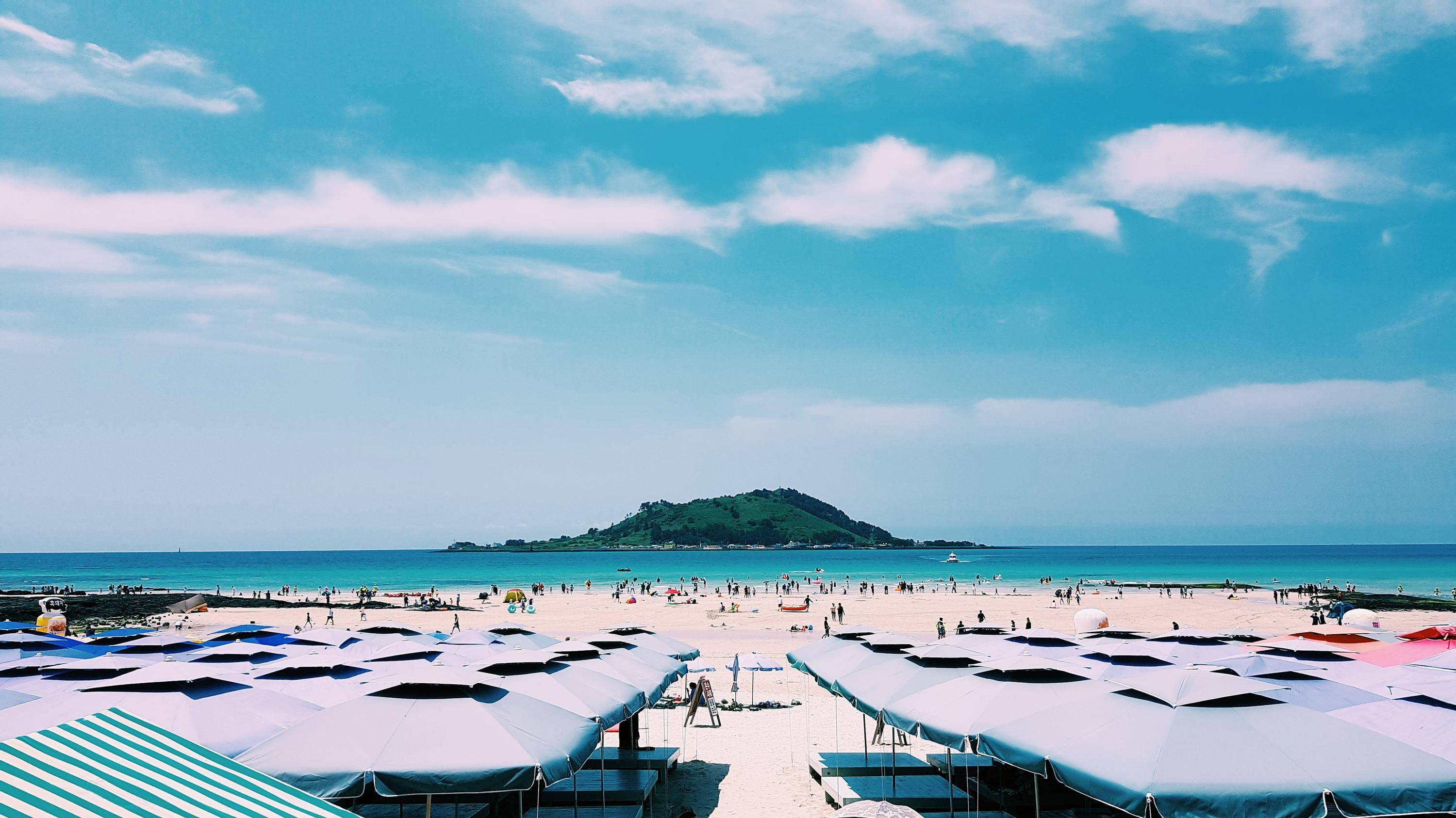 S 251 Cheap Flights from Singapore to Jeju City (SIN CJU) KAYAK