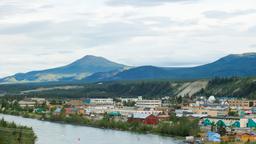 Whitehorse Hotels