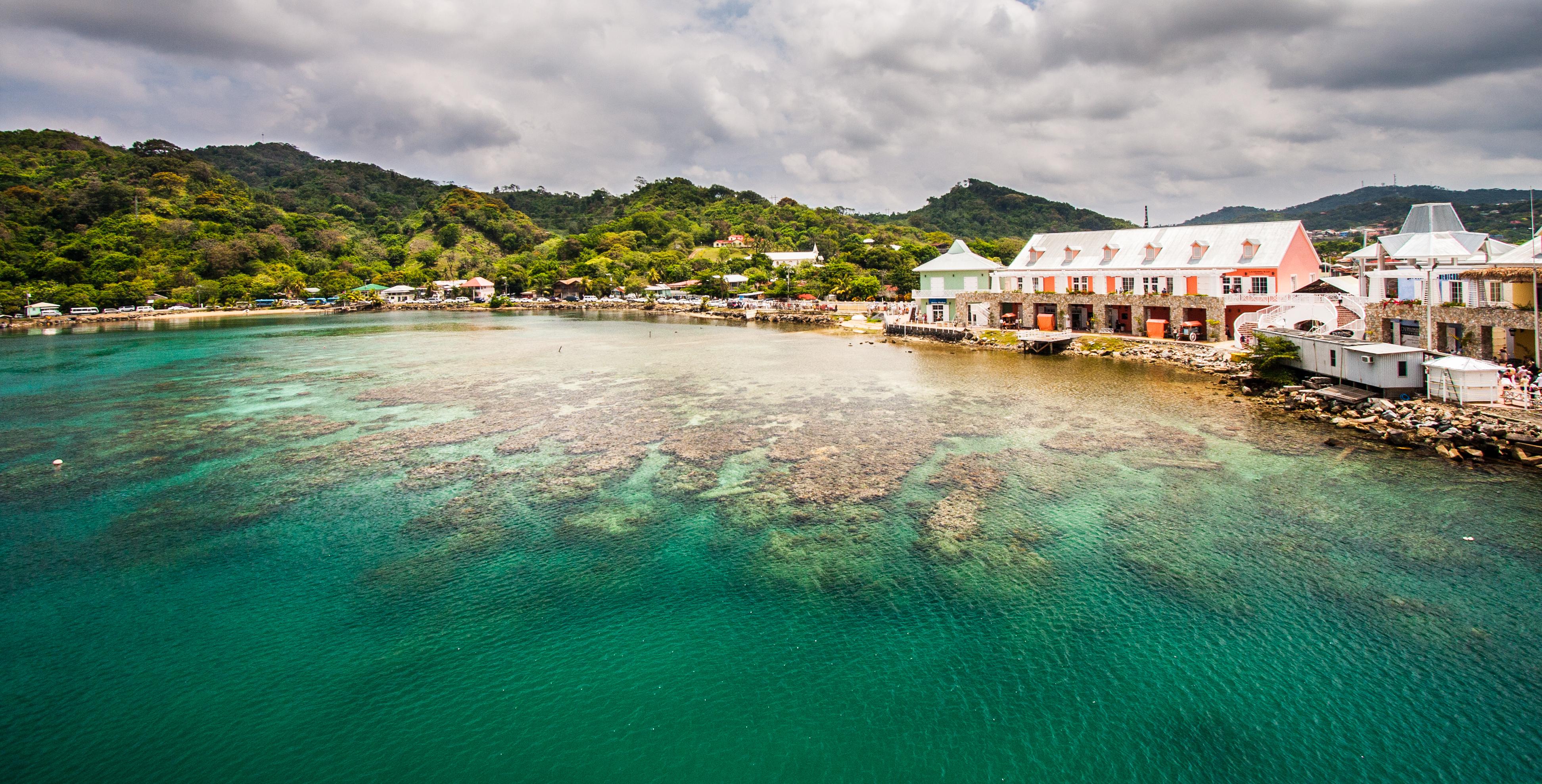 20080203_6009 | Coxen Hole, Roatan, Honduras | Derek 