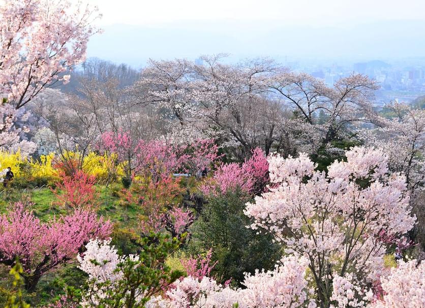 Outdoor view Photo