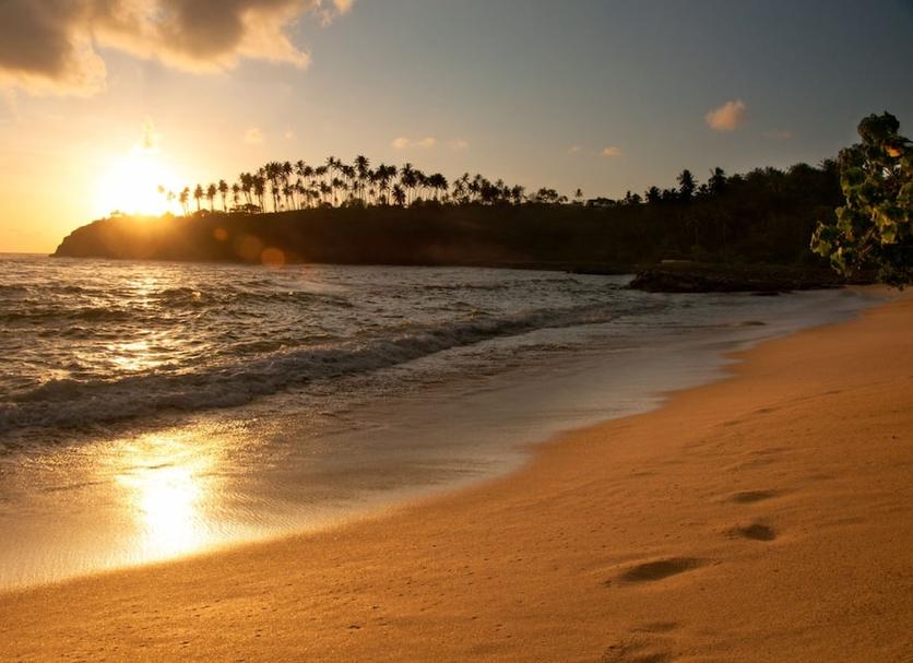 Beach Photo