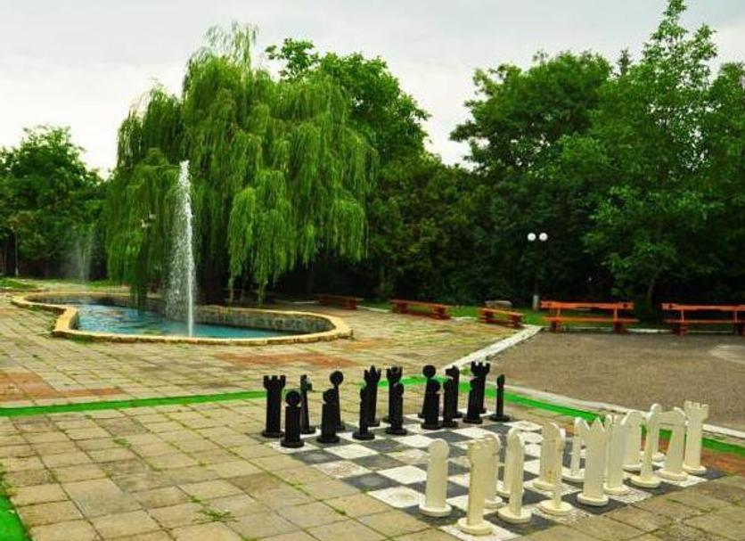 Other Photo