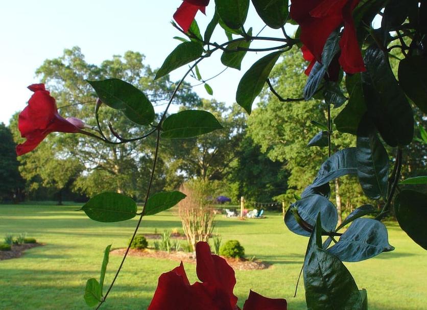 Outdoor view Photo