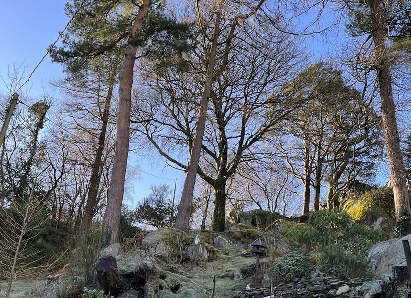 Outdoor view Photo