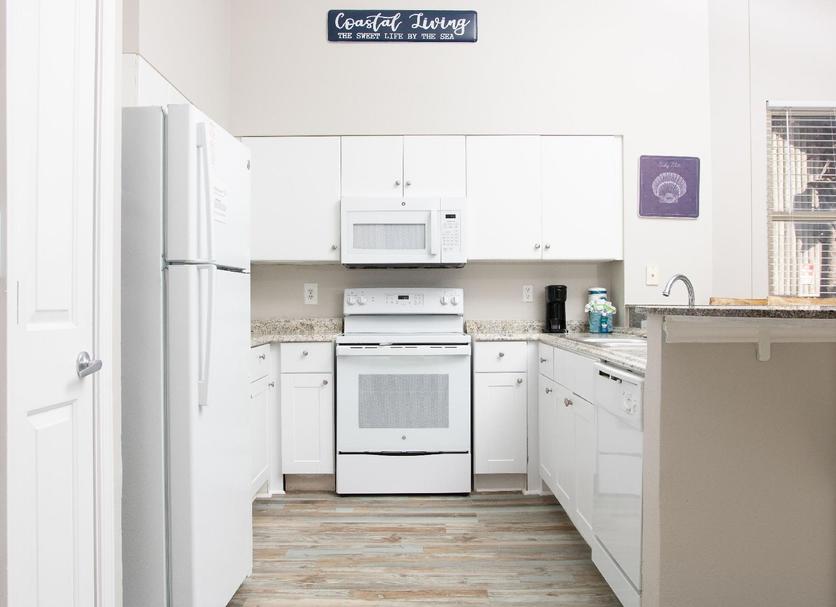 Kitchen Photo