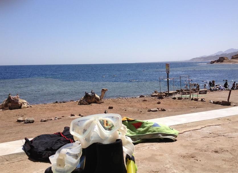 Beach Photo