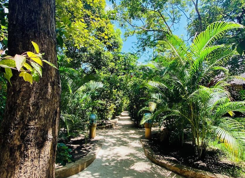 Outdoor view Photo