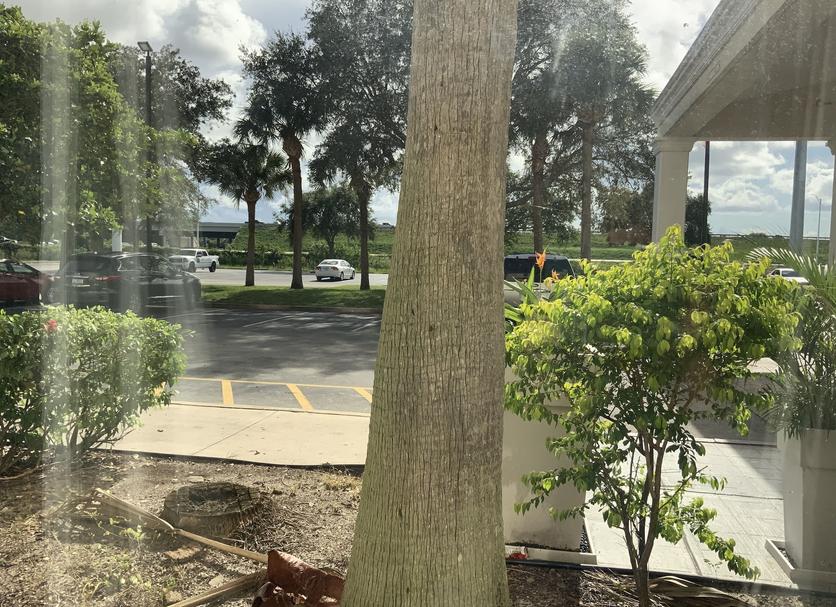 Outdoor view Photo