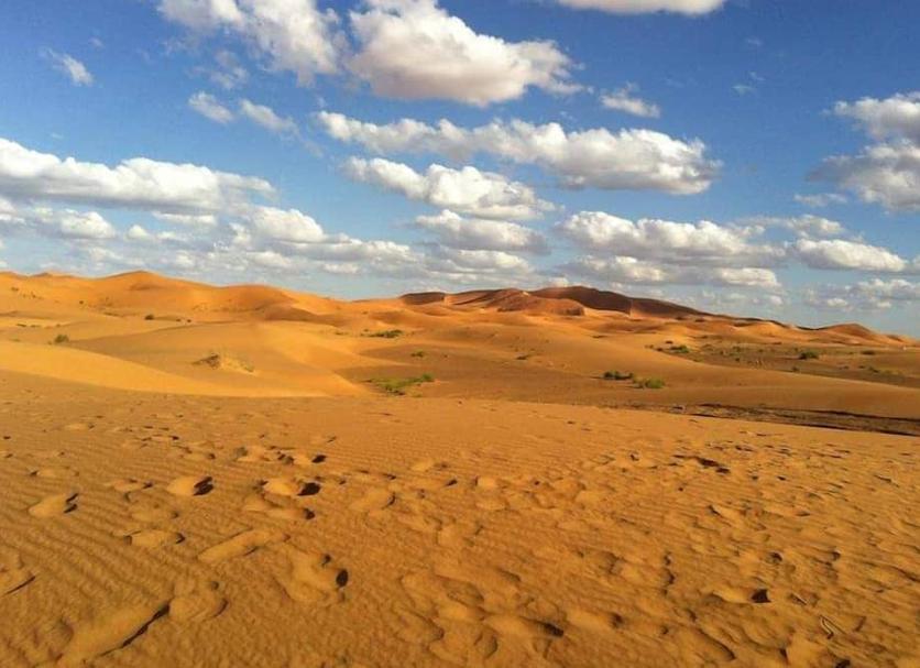 Other Photo