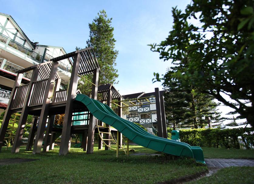 Other Photo
